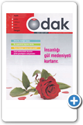 Odak